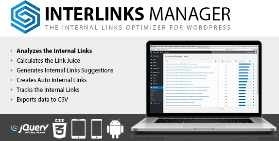 Interlinks Manager WordPress Plugin v1.24