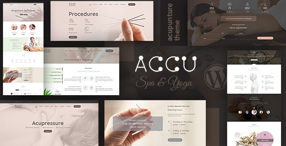 Accu v2.4 - Healthcare, Massage WordPress Theme