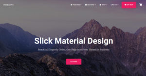Hestia Pro – Sharp Material Design Theme For Startups | Creative v3.0.6 nulled
