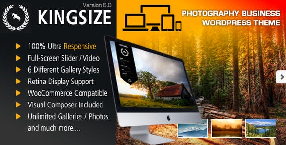 KingSize Fullscreen Photography Theme v6.1